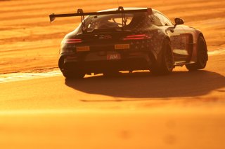 #294 - RTR Projects - Ondrej ROKOS - Petr LISA - Mercedes-AMG GT2 | SRO / JEP