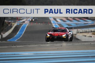 #294 - RTR Projects - Ondrej ROKOS - Petr LISA - Mercedes-AMG GT2 | SRO / JEP