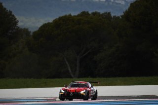 #294 - RTR Projects - Ondrej ROKOS - Petr LISA - Mercedes-AMG GT2 | SRO / JEP