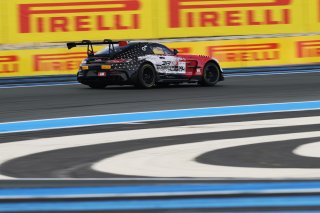 #294 - RTR Projects - Ondrej ROKOS - Petr LISA - Mercedes-AMG GT2 | SRO / JEP