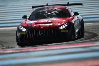 #294 - RTR Projects - Ondrej ROKOS - Petr LISA - Mercedes-AMG GT2 | SRO / JEP