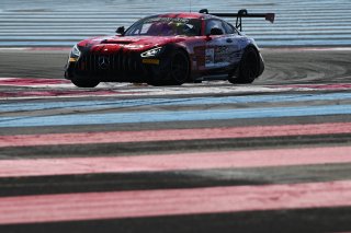 #294 - RTR Projects - Ondrej ROKOS - Petr LISA - Mercedes-AMG GT2 | SRO / JEP