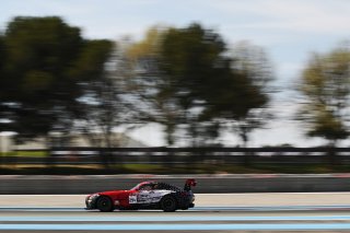 #294 - RTR Projects - Ondrej ROKOS - Petr LISA - Mercedes-AMG GT2 | SRO / JEP
