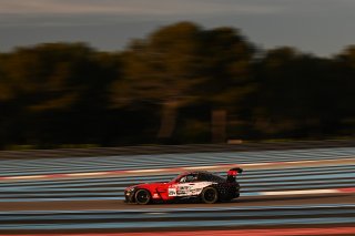 #294 - RTR Projects - Ondrej ROKOS - Petr LISA - Mercedes-AMG GT2 | SRO / JEP
