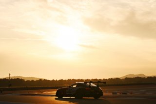 #294 - RTR Projects - Ondrej ROKOS - Petr LISA - Mercedes-AMG GT2 | SRO / JEP