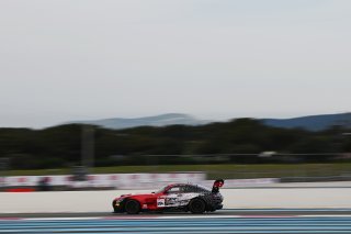 #294 - RTR Projects - Ondrej ROKOS - Petr LISA - Mercedes-AMG GT2 | SRO / JEP