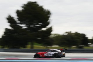 #294 - RTR Projects - Ondrej ROKOS - Petr LISA - Mercedes-AMG GT2 | SRO / JEP