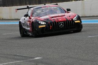 #294 - RTR Projects - Ondrej ROKOS - Petr LISA - Mercedes-AMG GT2 | SRO / JEP