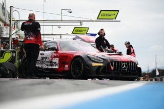 #294 - RTR Projects - Ondrej ROKOS - Petr LISA - Mercedes-AMG GT2 | SRO / JEP