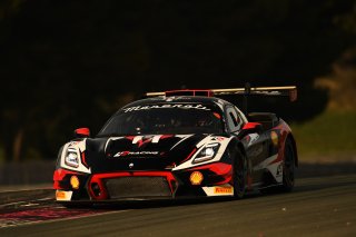 #8 - LP Racing - Anik PATEL - Eddie CHEEVER - Maserati GT2 | SRO / JEP