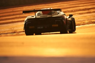 #8 - LP Racing - Anik PATEL - Eddie CHEEVER - Maserati GT2 | SRO / JEP