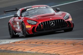 #53 - Akkodis ASP - Christophe BOURRET - Pascal GIBON - Mercedes-AMG GT2
 | SRO JEP