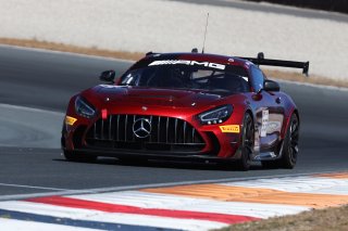 #53 - Akkodis ASP - Christophe BOURRET - Pascal GIBON - Mercedes-AMG GT2
 | SRO / JEP