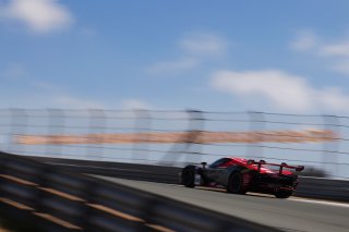 #8 - LP Racing - Anik PATEL - Eddie CHEEVER - Maserati GT2
 | SRO / JEP