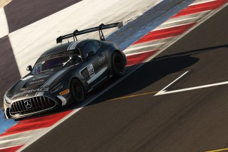 #115 - NM Racing Team - Alberto DE MARTIN - Nil MONTSERRAT - Mercedes-AMG GT2 | SRO / JEP