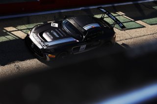 #115 - NM Racing Team - Alberto DE MARTIN - Nil MONTSERRAT - Mercedes-AMG GT2 | SRO / JEP
