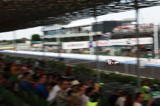 #88 - LP Racing - Stephane RATEL - Luca PIRRI - Audi R8 LMS GT2 | SRO / JEP