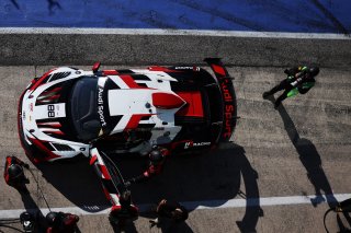 #88 - LP Racing - Stephane RATEL - Luca PIRRI - Audi R8 LMS GT2 | SRO / JEP