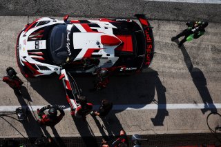 #88 - LP Racing - Stephane RATEL - Luca PIRRI - Audi R8 LMS GT2 | SRO / JEP