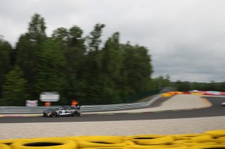 #115 - NM Racing Team - Alberto DE MARTIN - Nil MONTSERRAT - Mercedes-AMG GT2
 | SRO / JEP