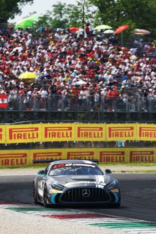 #116 - NM Racing Team - Branden OXLEY - Adrian FERRER - Mercedes-AMG GT2 | SRO /JEP