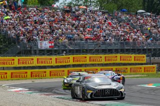 #116 - NM Racing Team - Branden OXLEY - Adrian FERRER - Mercedes-AMG GT2 | SRO / JEP