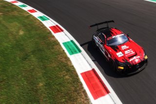 #294 - RTR Projects - Ondrej ROKOS - Petr LISA - Mercedes-AMG GT2 | SRO / JEP