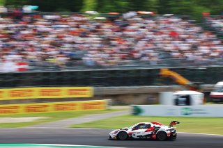 #8 - LP Racing - Thomas YU LEE - Niccolo PIRRI - Maserati GT2 | JEP