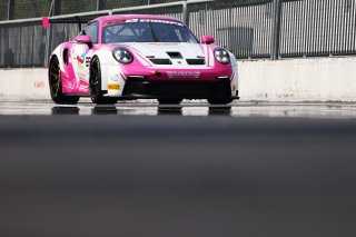 #85 - Iron Dames by SP Racing - Laura VAN DEN HENGEL - Sarah BOVY - Porsche 992 GT3 Cup | SRO /JEP