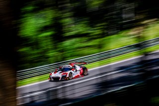 #88 - LP Racing - Stefan ROSINA - TBA - Audi R8 LMS GT2 | SRO / JEP