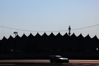 #115 - NM Racing Team - Alberto DE MARTIN - Nil MONTSERRAT - Mercedes-AMG GT2 | SRO / JEP