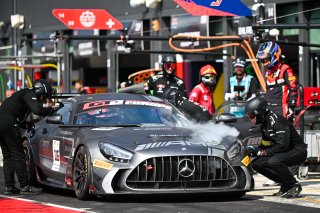 #116 - NM Racing Team - Adrian FERRER - Bas VISSER - Mercedes-AMG GT2 | SRO / JEP