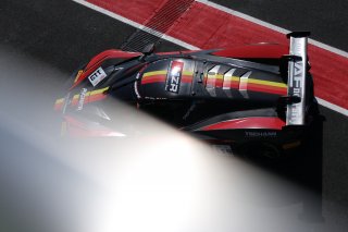 #119 - MZR Motorsportzentrum Ried - Marius AIGNER - Reinhard KOFLER - KTM X-BOW GT2 | SRO / JEP