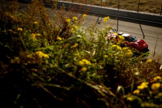 #1 - LP Racing - Philippe Prette - Maserati GT2 | SRO / JEP
