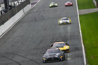 #115 - NM Racing Team - Alberto De Martin - Nil Montserrat - Mercedes-AMG GT2 | SRO / JEP