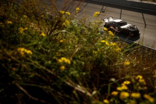 #62 - CMR - Mike Simpson - Lawrence Tomlinson - Ginetta G56 GT2 | SRO / JEP