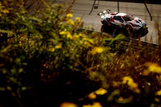 #8 - LP Racing - Thomas Yu Lee - Niccol&ograve; Pirri - Maserati GT2 | SRO / JEP