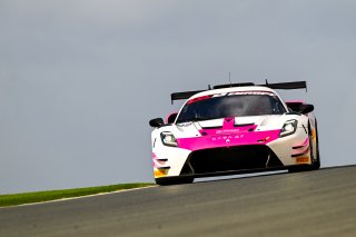 #85 - Iron Dames by SP Racing - Laura Van Den Hengel - Sarah Bovy - Maserati GT2 | SRO / JEP