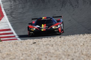#119 - MZR Motorsportzentrum Ried - Marius Aigner - Reinhard Kofler - KTM X-BOW GT2 | SRO / JEP