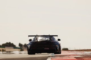 #294 - RTR Projects - Ondrej Rokos - Petr Lisa - Mercedes-AMG GT2 | SRO / JEP