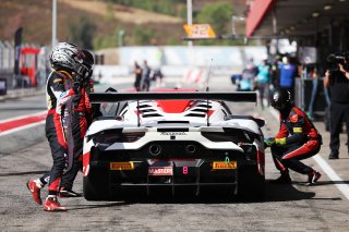 #8 - LP Racing - Thomas Yu Lee - Niccolo Pirri - Maserati GT2 | SRO / JEP