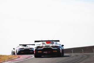 #8 - LP Racing - Thomas Yu Lee - Niccolo Pirri - Maserati GT2 | SRO / JEP