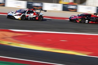 #8 - LP Racing - Thomas Yu Lee - Maserati GT2 | SRO / JEP