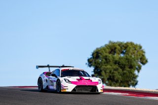 #85 - Iron Dames by SP Racing - Laura van den Hengel - Sarah Bovy - Maserati GT2 | SRO / JEP
